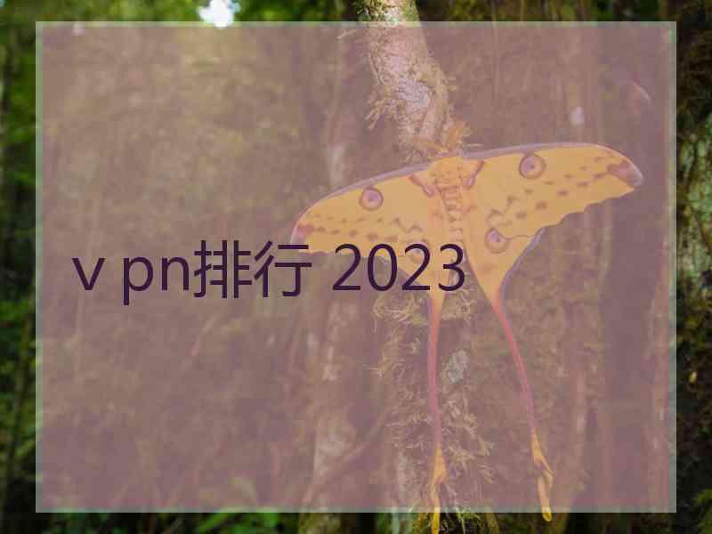 ⅴpn排行 2023