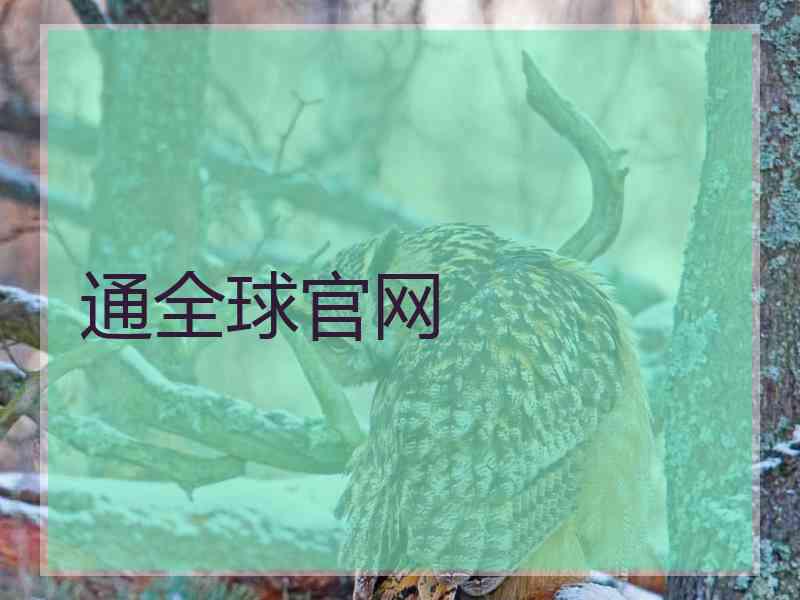 通全球官网