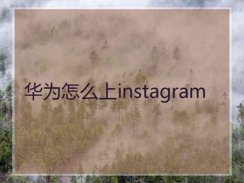 华为怎么上instagram