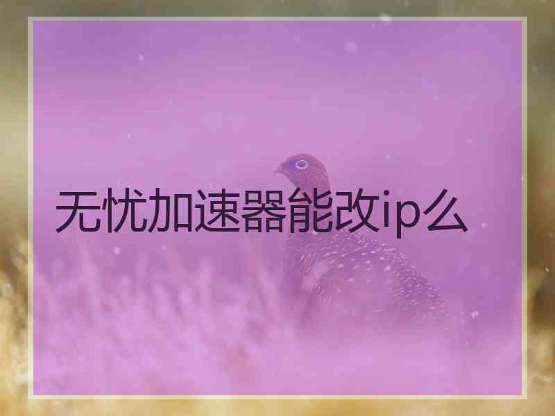 无忧加速器能改ip么