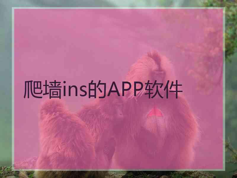爬墙ins的APP软件