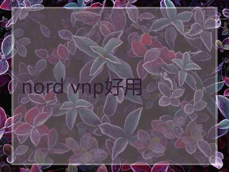 nord vnp好用