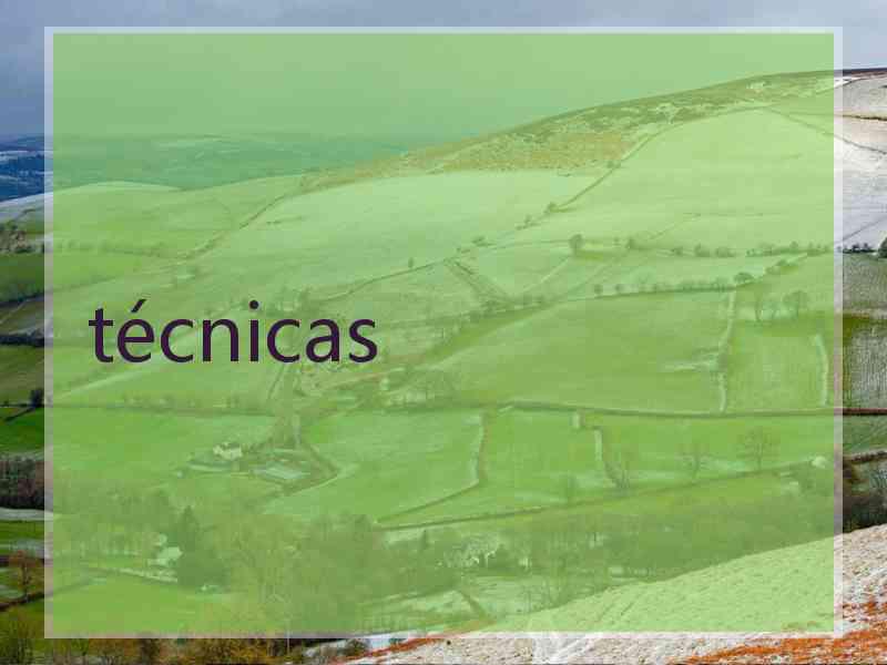 técnicas