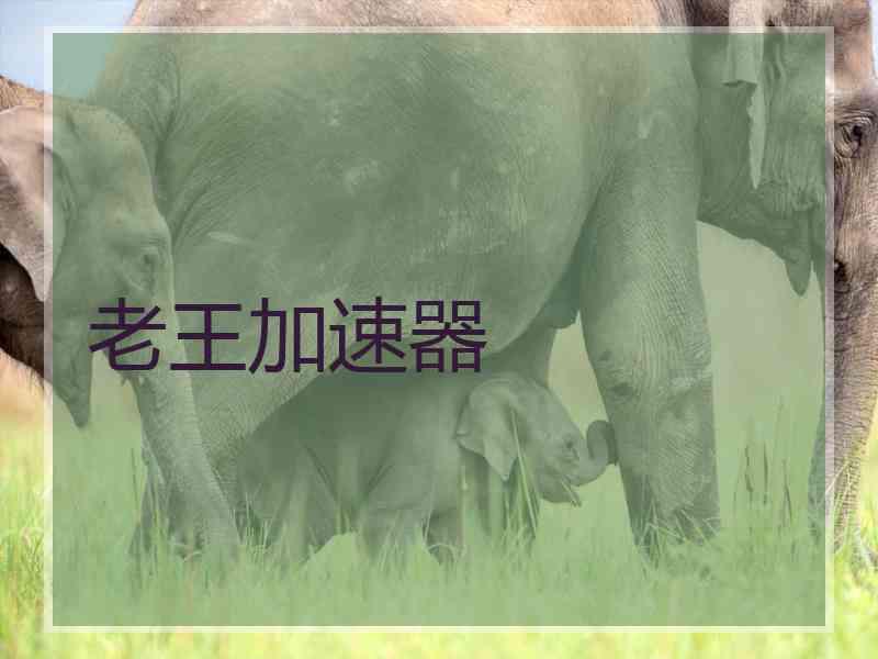 老王加速器