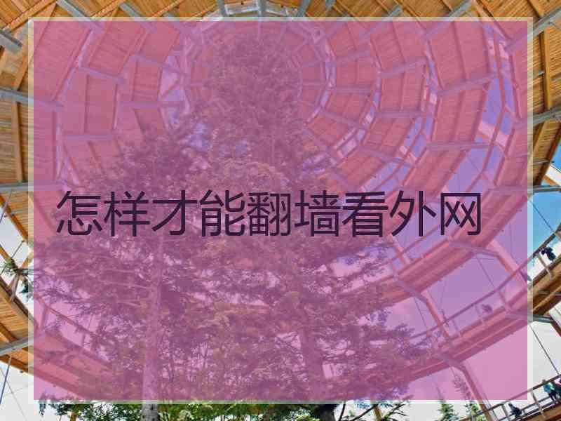 怎样才能翻墙看外网