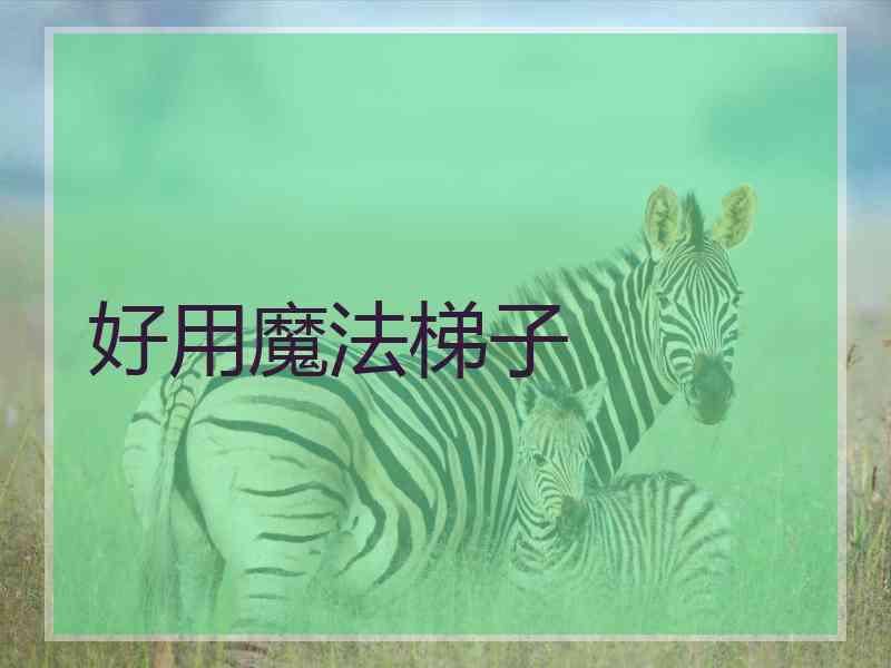 好用魔法梯子