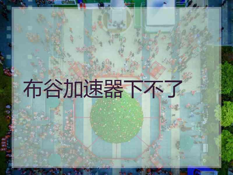 布谷加速器下不了