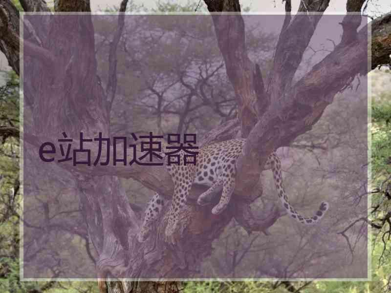 e站加速器