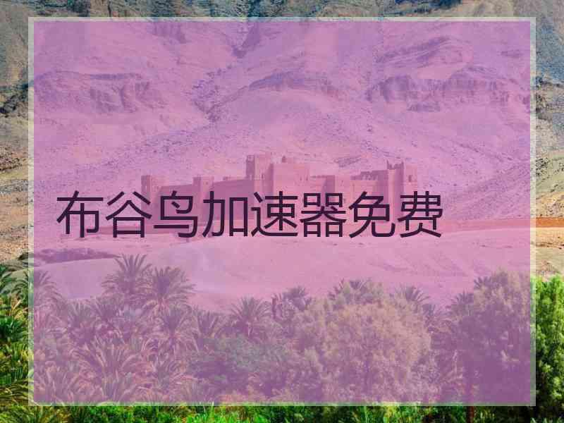 布谷鸟加速器免费
