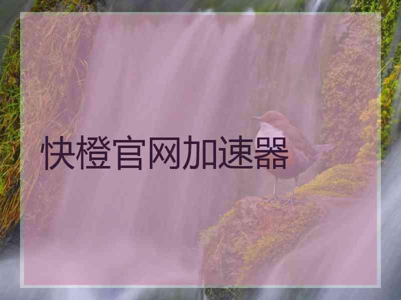 快橙官网加速器