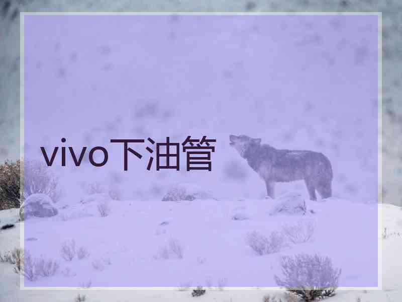 vivo下油管