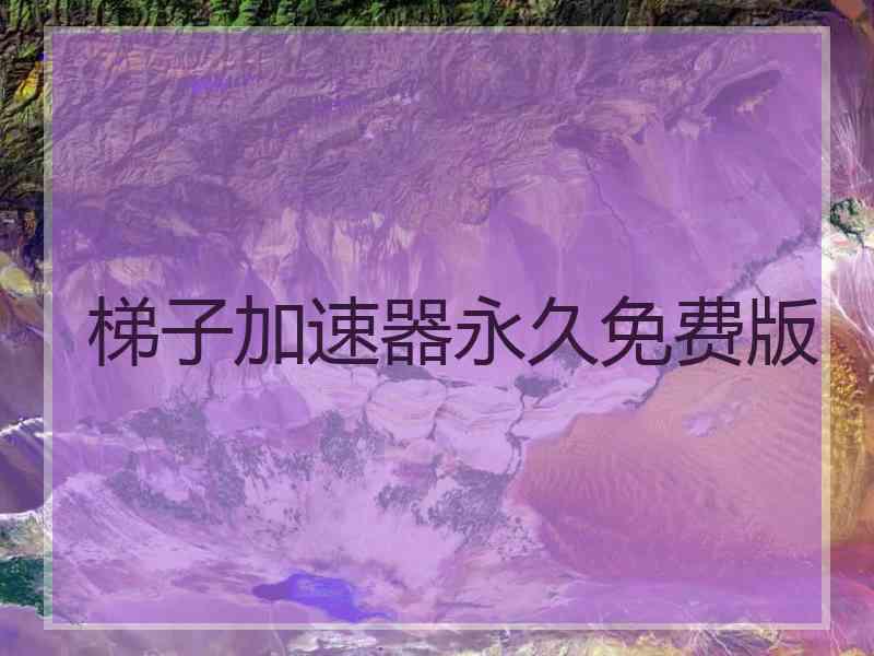 梯子加速器永久免费版