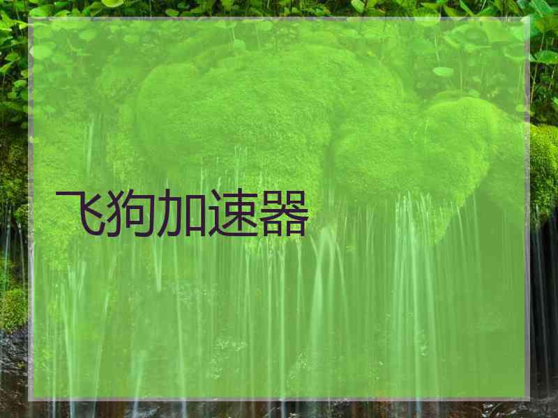 飞狗加速器