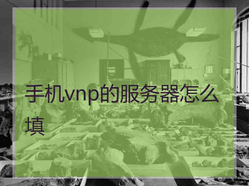 手机vnp的服务器怎么填