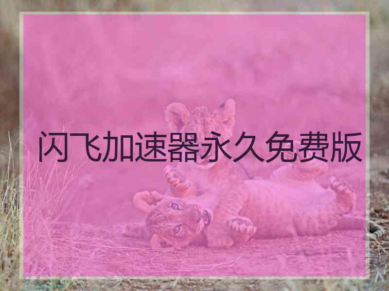 闪飞加速器永久免费版
