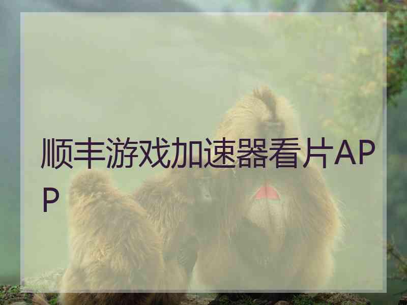 顺丰游戏加速器看片APP