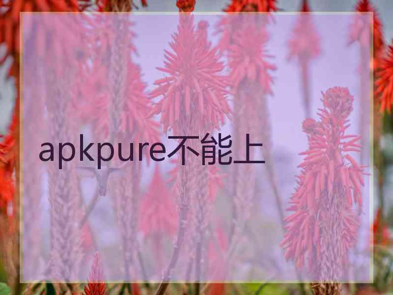 apkpure不能上