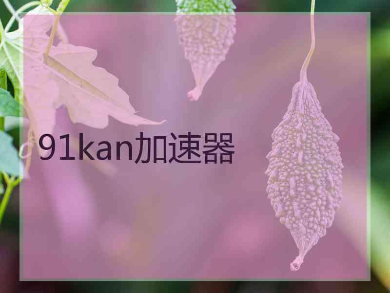 91kan加速器