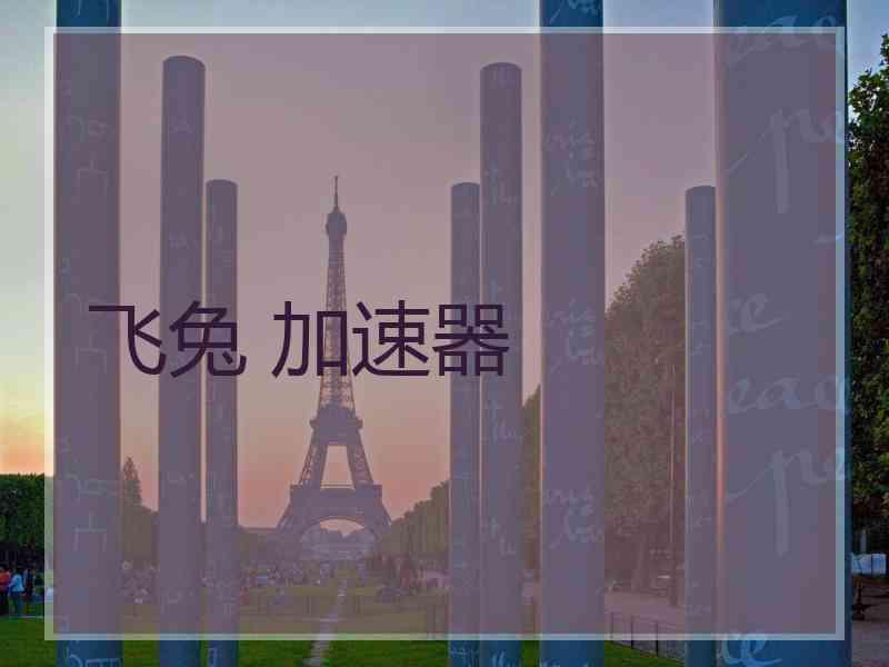 飞兔 加速器