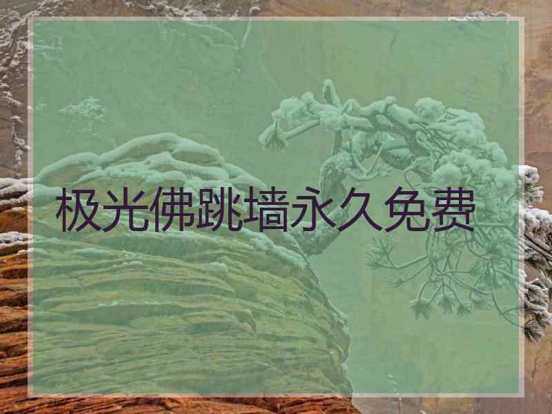 极光佛跳墙永久免费