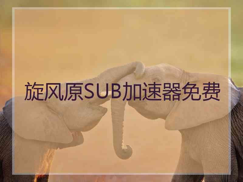旋风原SUB加速器免费