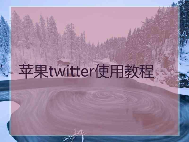 苹果twitter使用教程