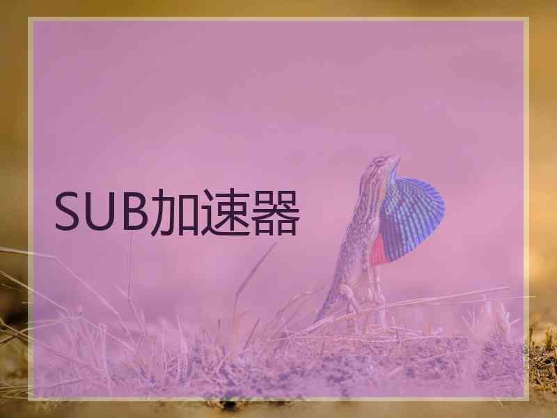SUB加速器