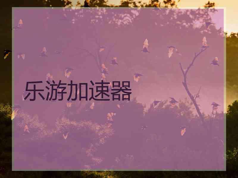 乐游加速器