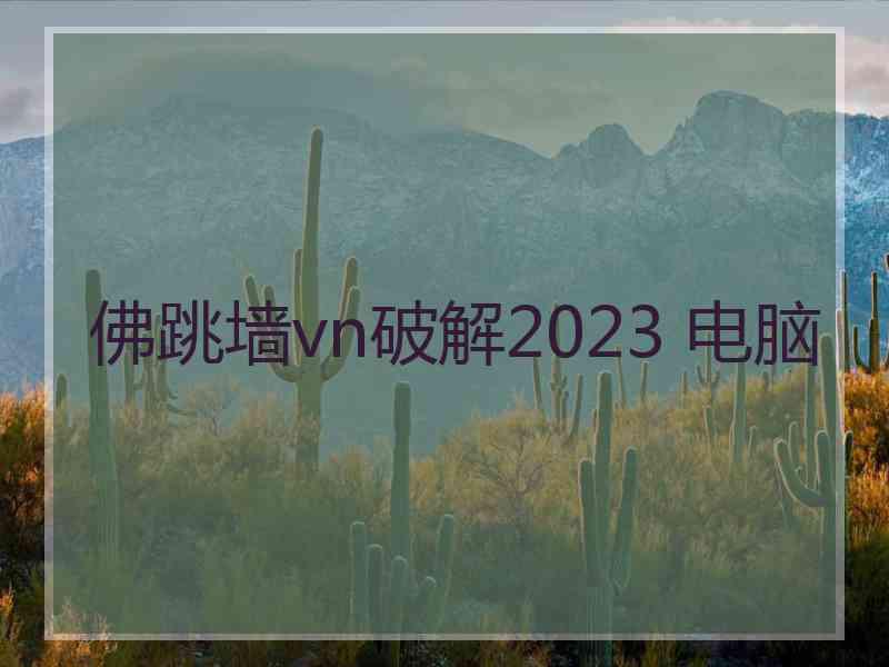 佛跳墙vn破解2023 电脑