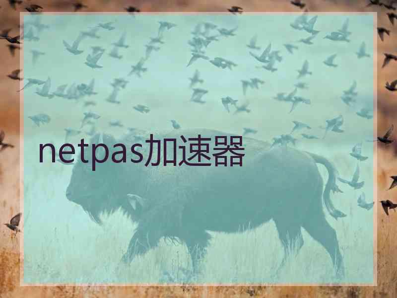 netpas加速器