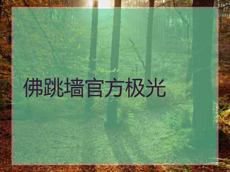 佛跳墙官方极光