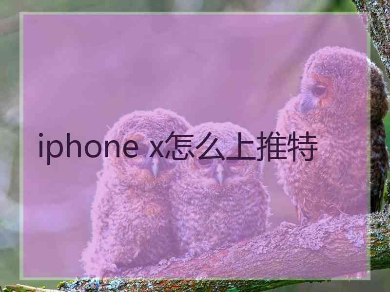 iphone x怎么上推特
