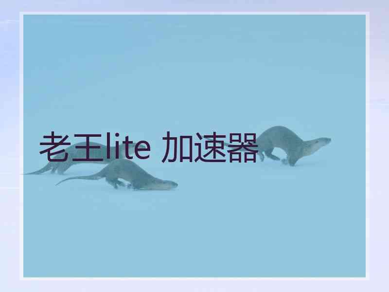 老王lite 加速器