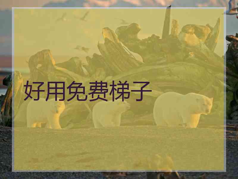 好用免费梯子