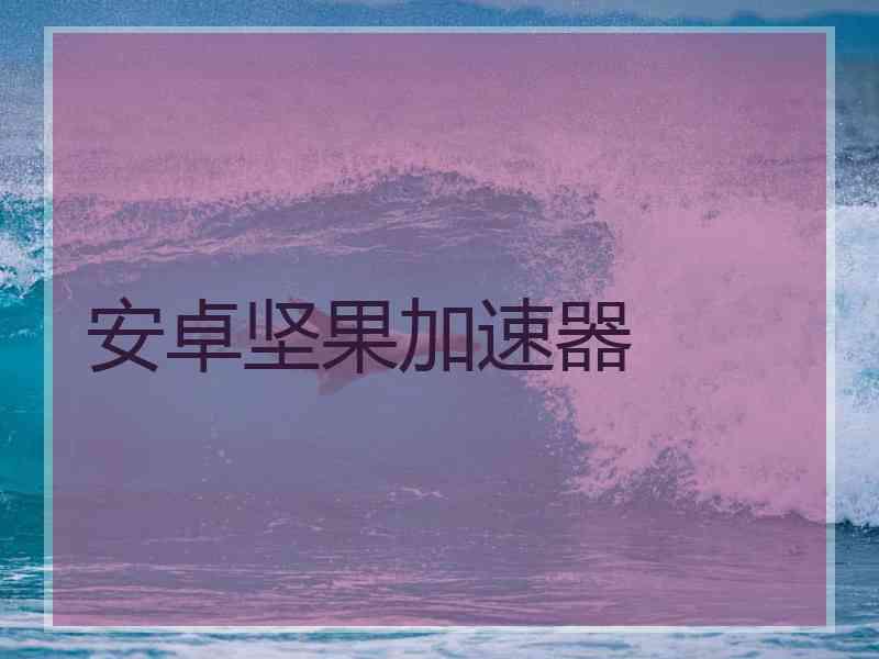 安卓坚果加速器