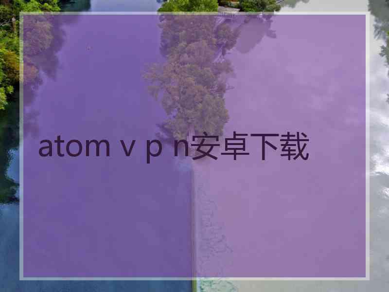 atom v p n安卓下载