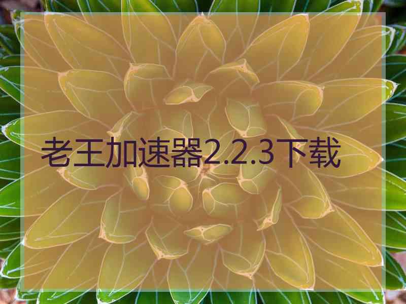 老王加速器2.2.3下载