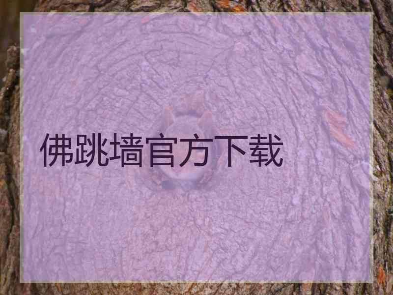 佛跳墙官方下载
