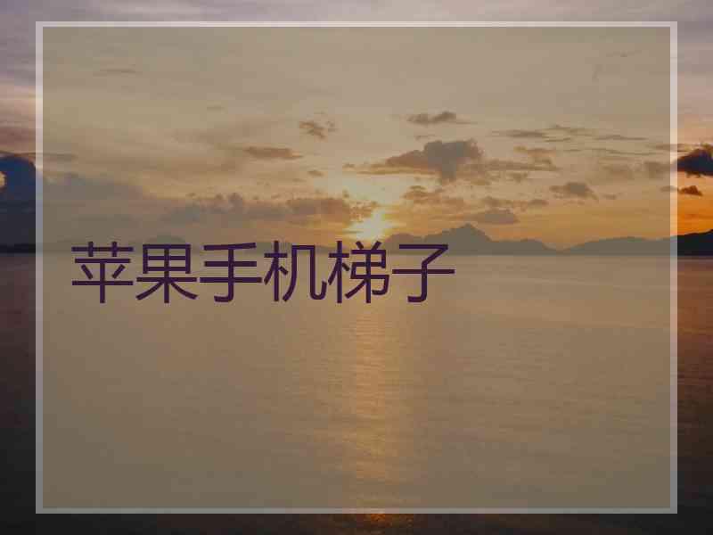 苹果手机梯子