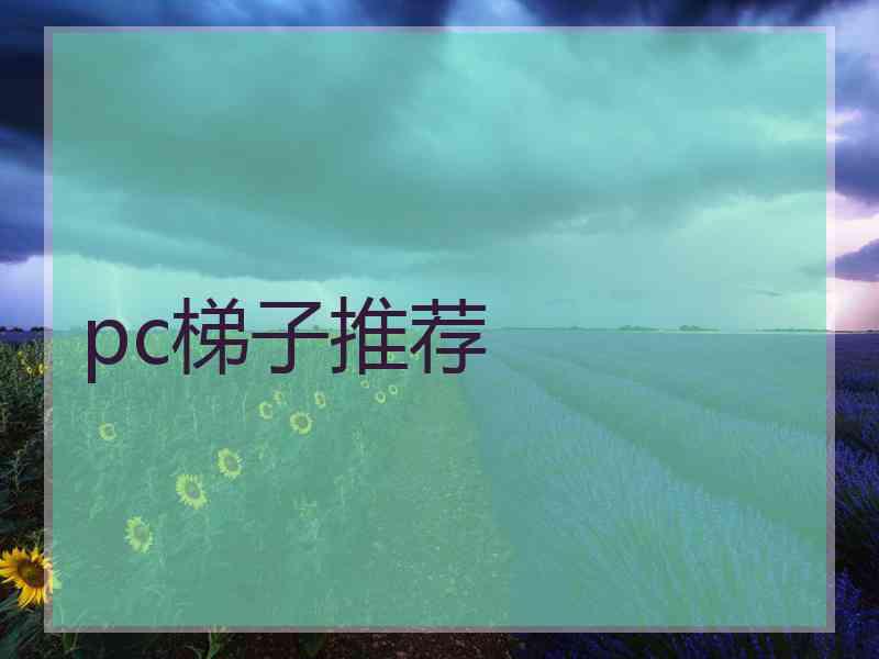 pc梯子推荐