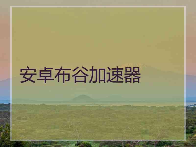 安卓布谷加速器