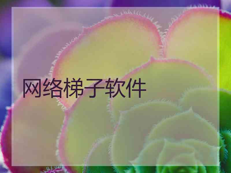 网络梯子软件