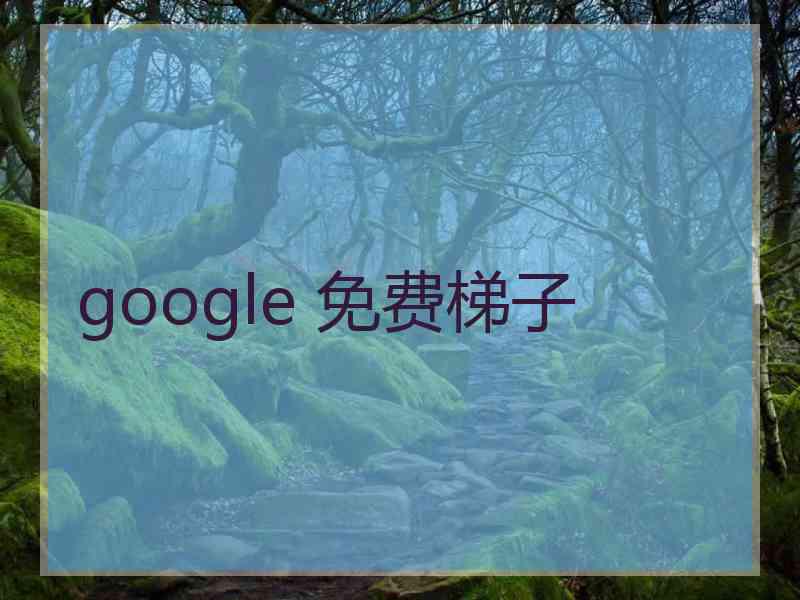 google 免费梯子