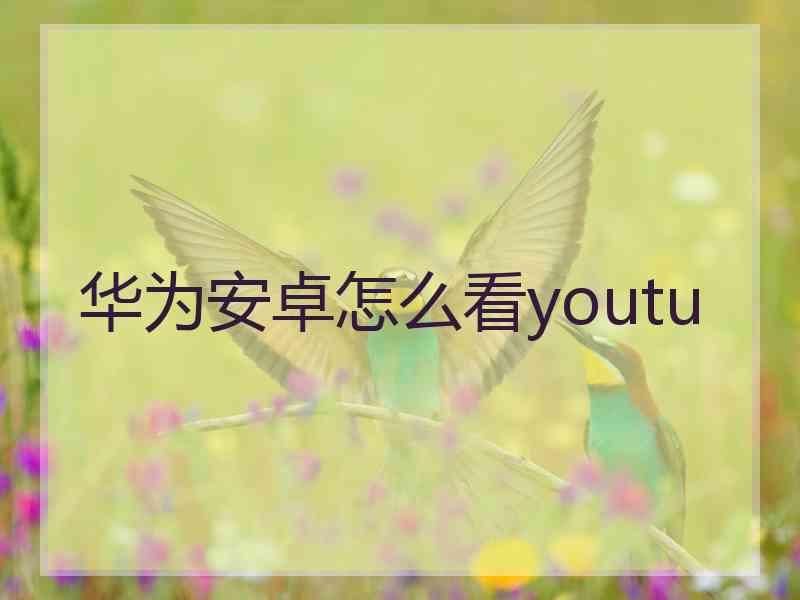 华为安卓怎么看youtu