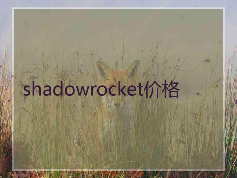 shadowrocket价格