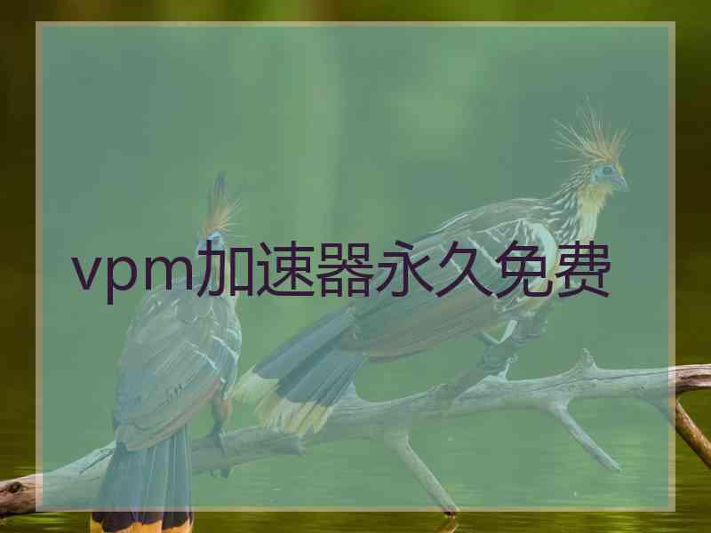 vpm加速器永久免费