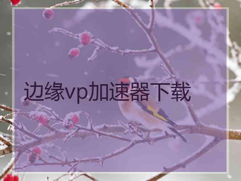 边缘vp加速器下载