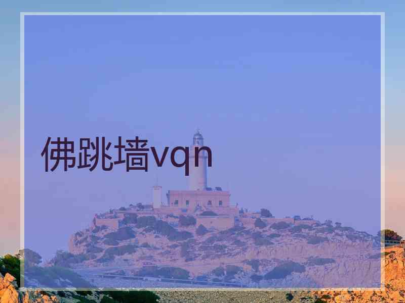 佛跳墙vqn