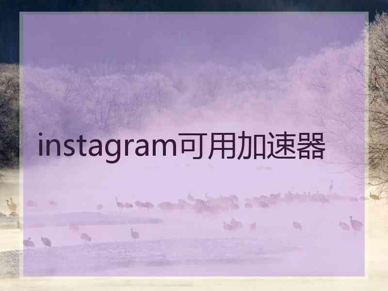 instagram可用加速器