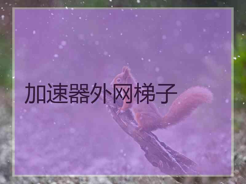 加速器外网梯子